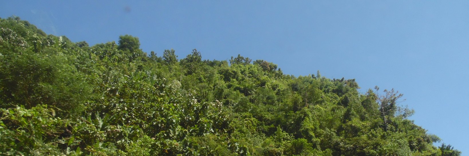Dalwwar's profile banner image
