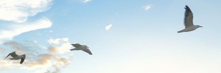KyncYasemin's profile banner image