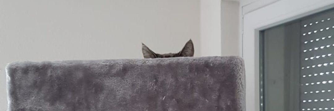 Schnuffie66's profile banner image