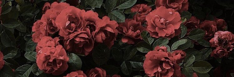 delaneysmith_04's profile banner image