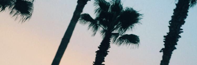jaelynnwee's profile banner image
