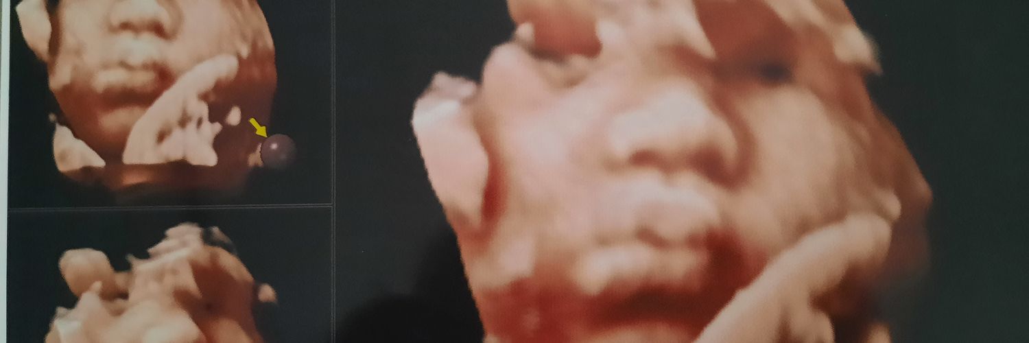 wirddawirdda's profile banner image