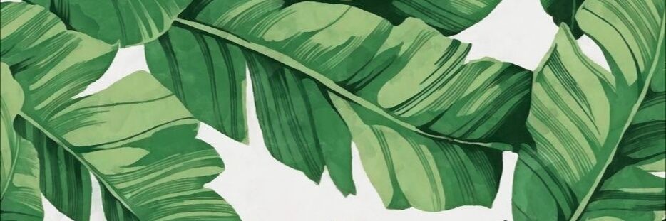 corazonconejo's profile banner image