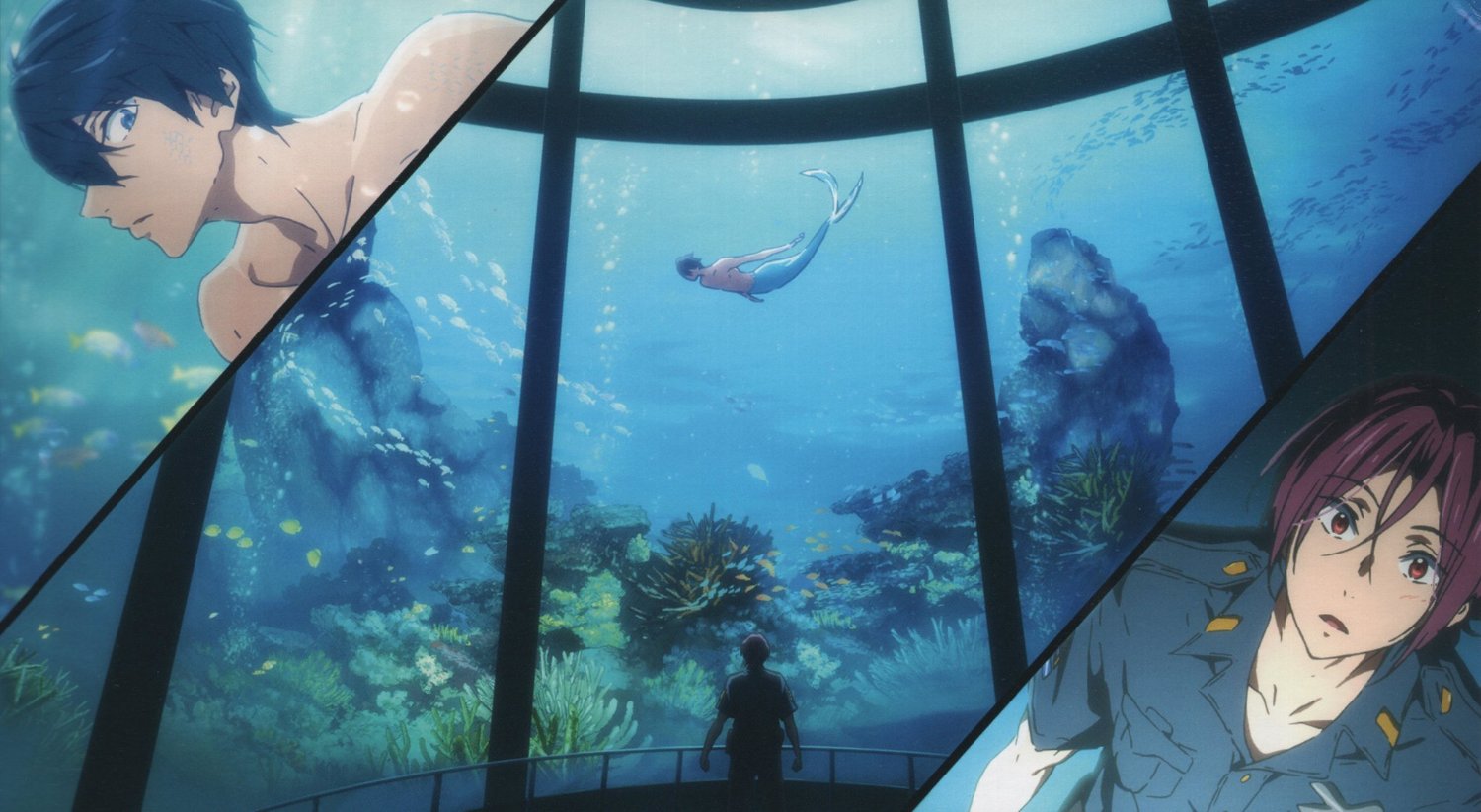 sharkinloveRH's profile banner image