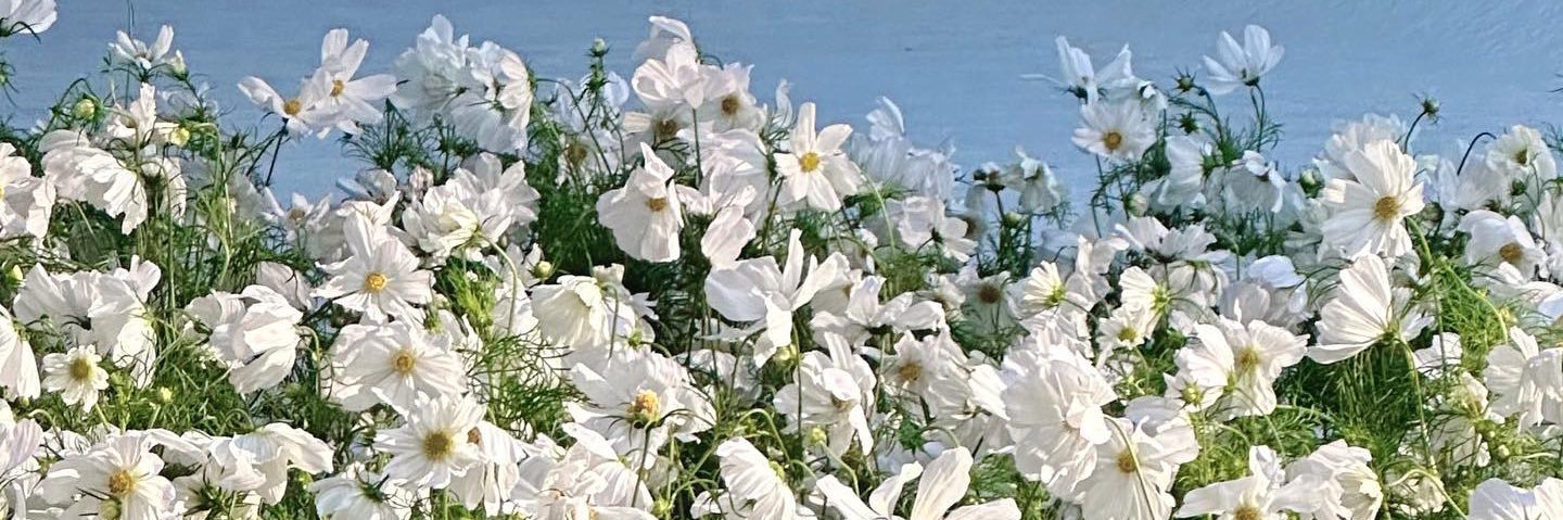 js_ruc's profile banner image