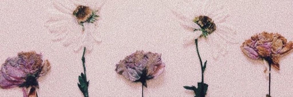 ThaaOpss's profile banner image