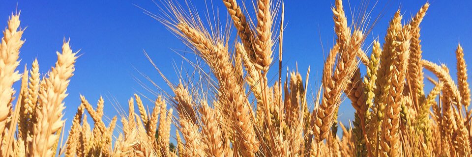 VentureFarmMachinery banner