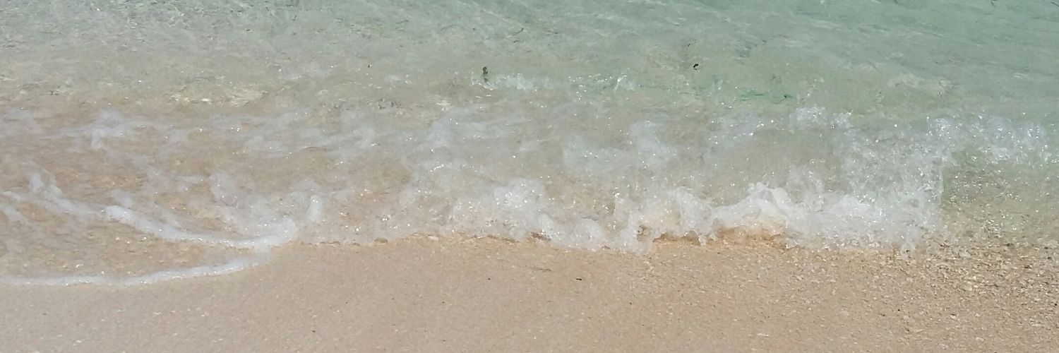 nindyaep's profile banner image
