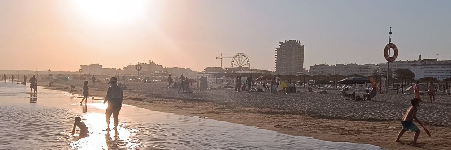 Alberto Lasso banner