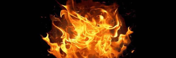 chiefshaknbake's profile banner image