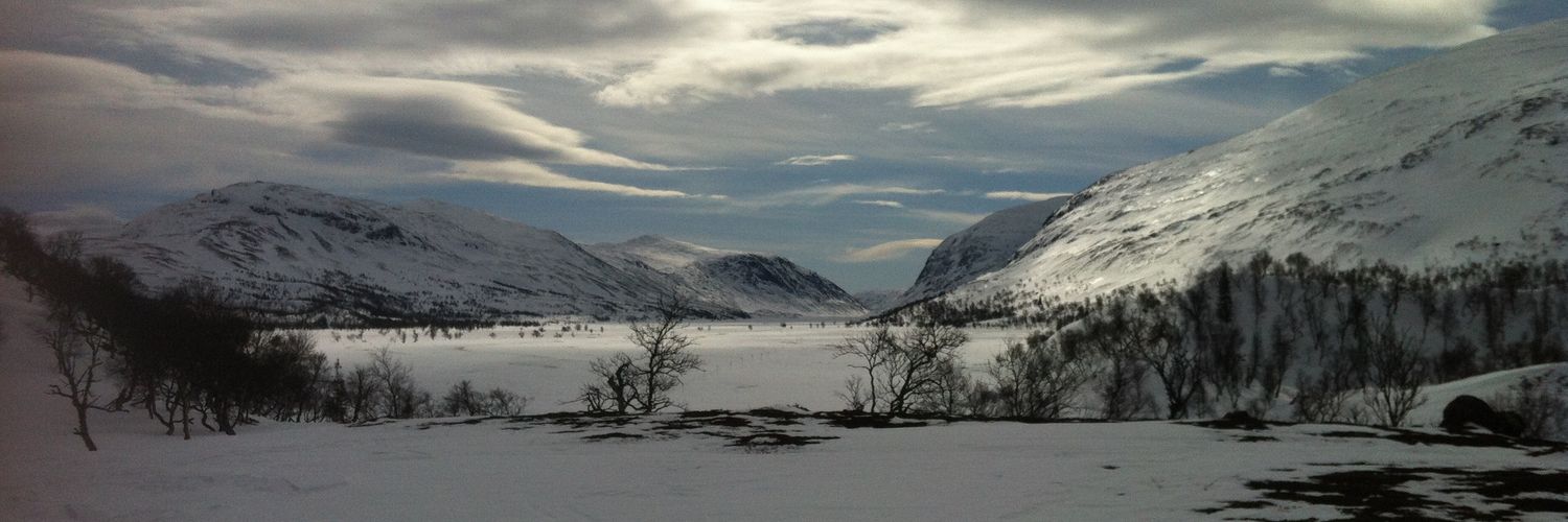 Anna Enarsson banner