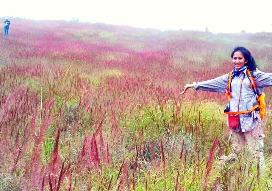 avafkecil's profile banner image