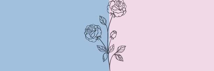morcegossauro's profile banner image