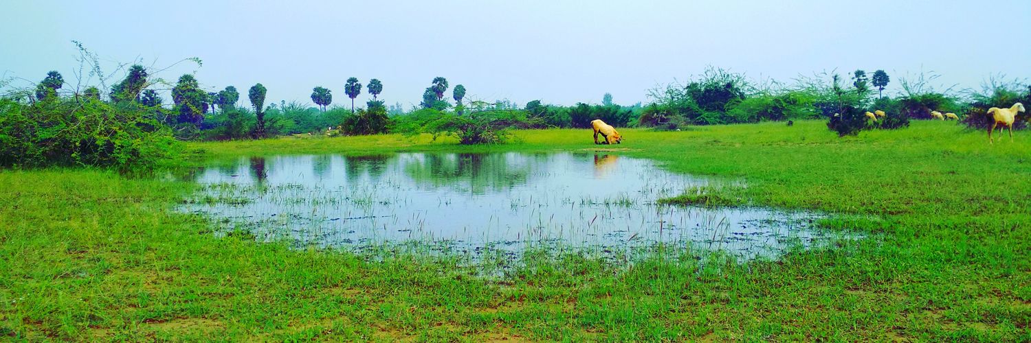 rajkri5's profile banner image