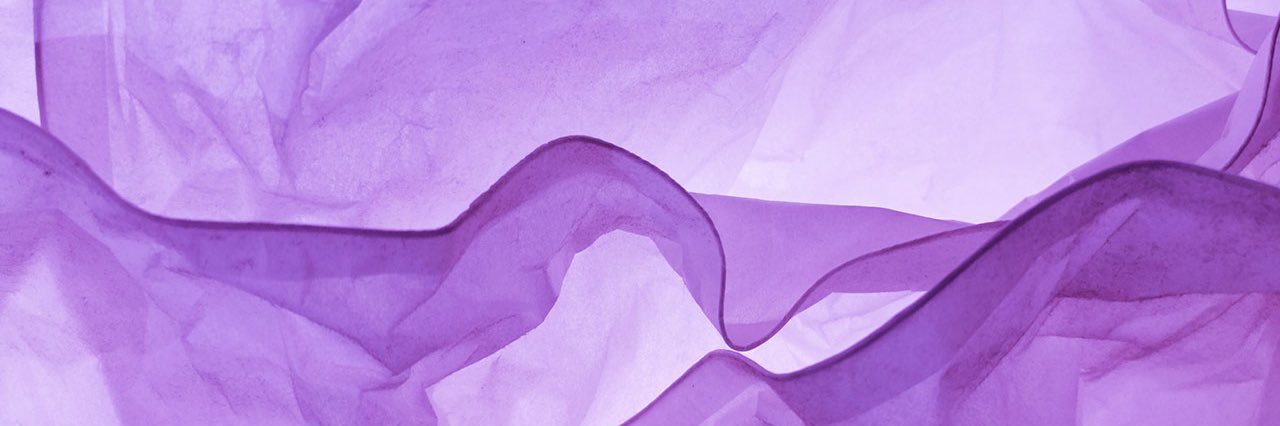 SILVIA PEDRAZA CARRA banner