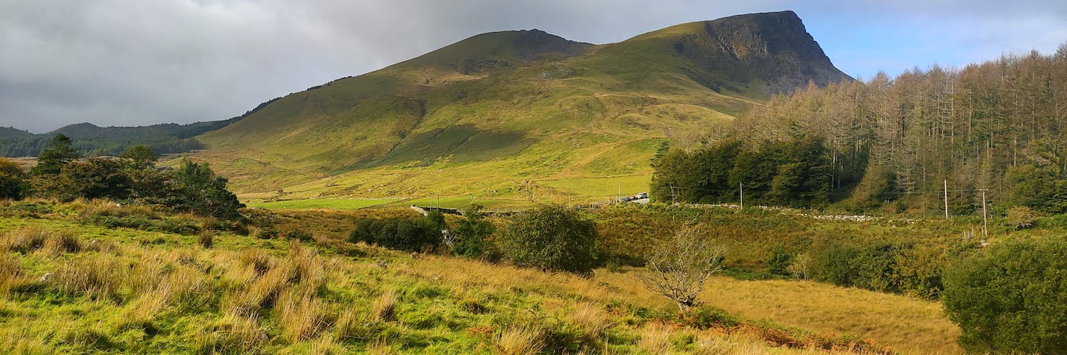 Peter Brommer banner