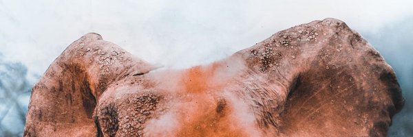 Inawmet Profile Banner