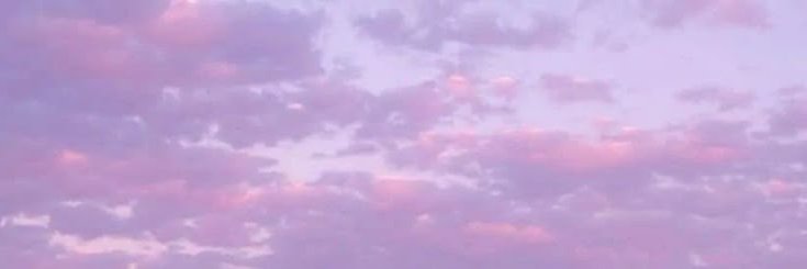 rocío banner
