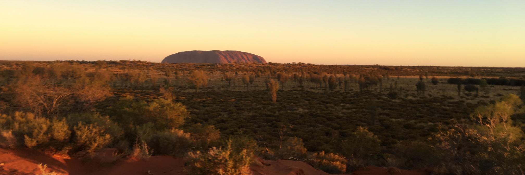 Kristine Bowman banner
