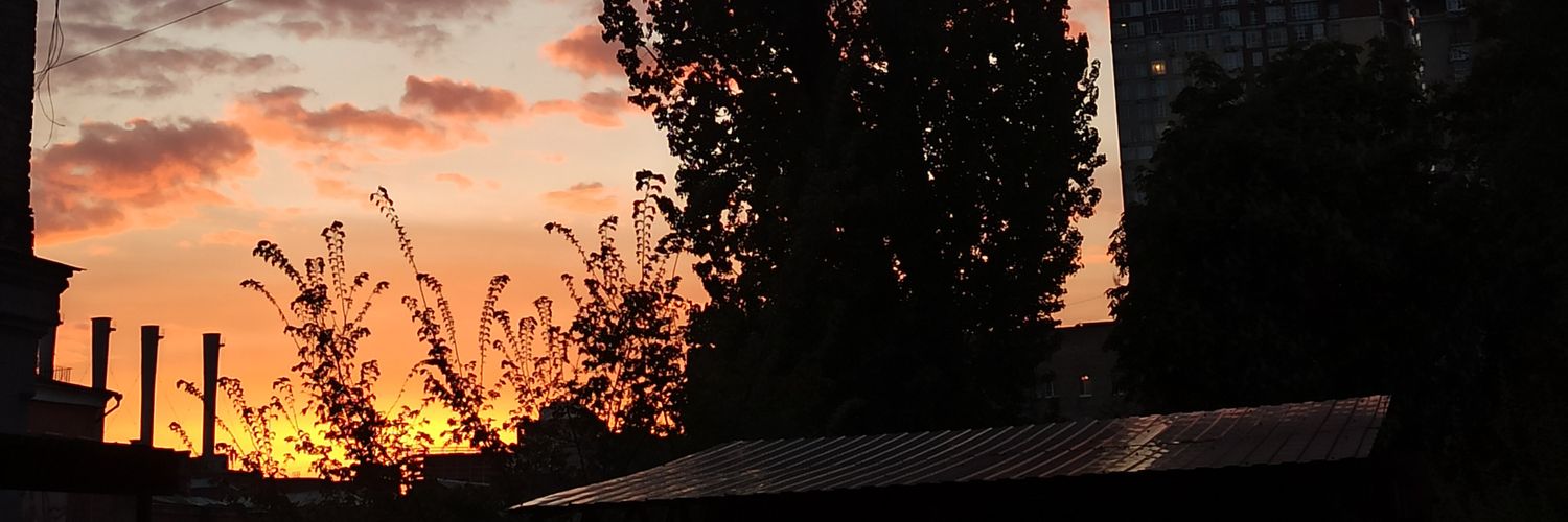 Александр Шевцов banner