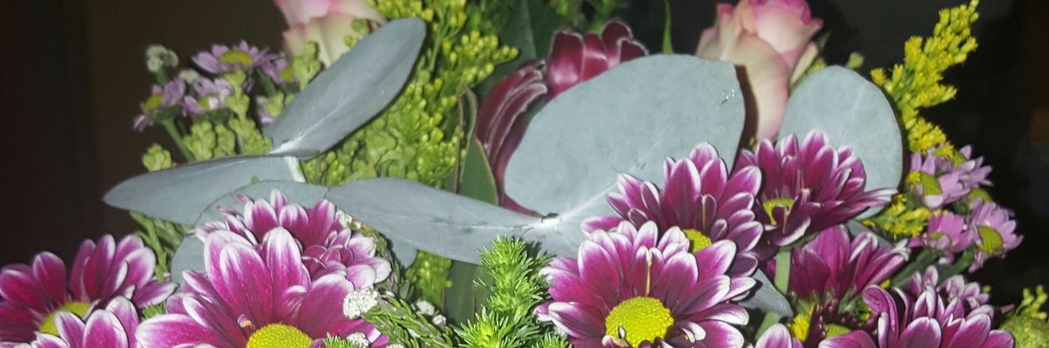 PontsoladyP's profile banner image