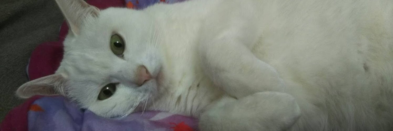 early_gimlet's profile banner image