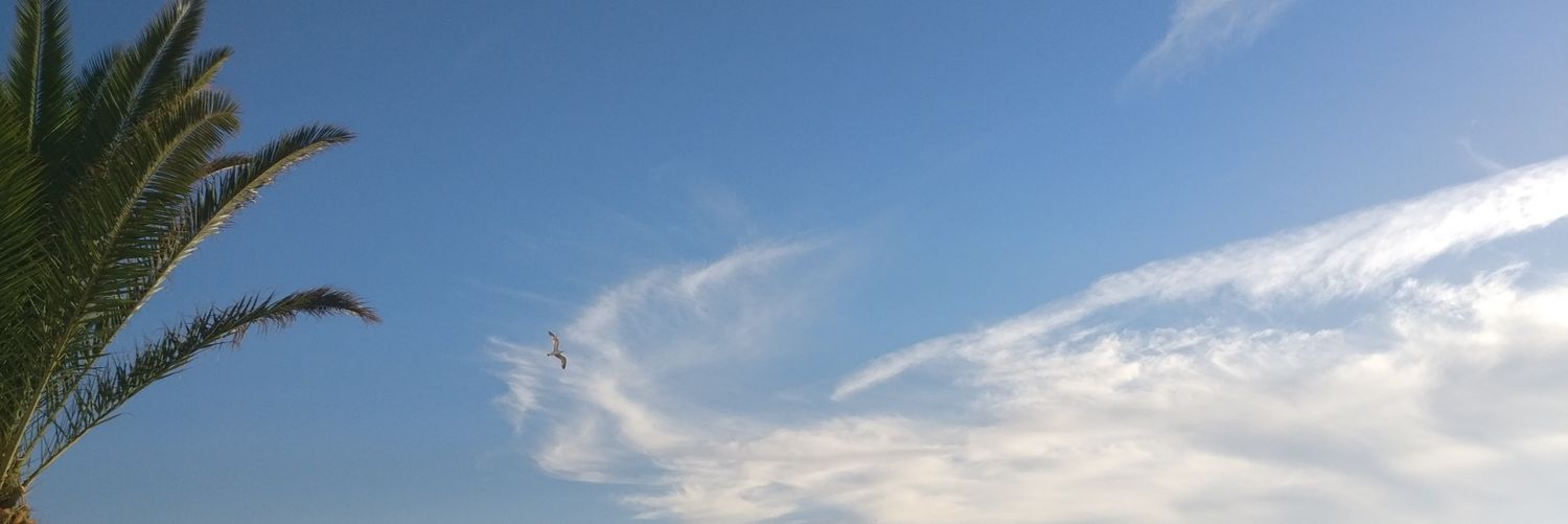 SuiuMarius's profile banner image