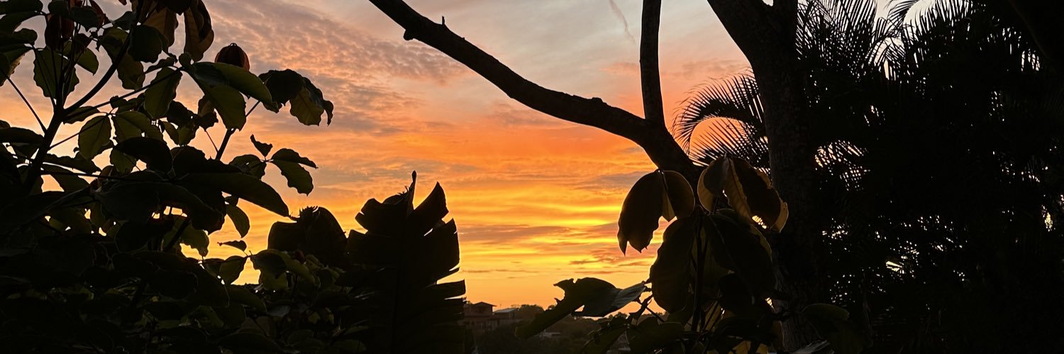 bellaa2_'s profile banner image