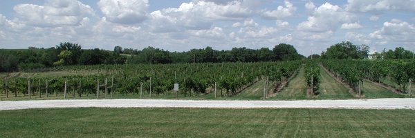 schillingbridge Profile Banner