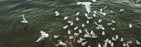 suryablkr Profile Banner