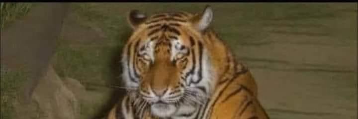 Geno Smith Burner Account banner