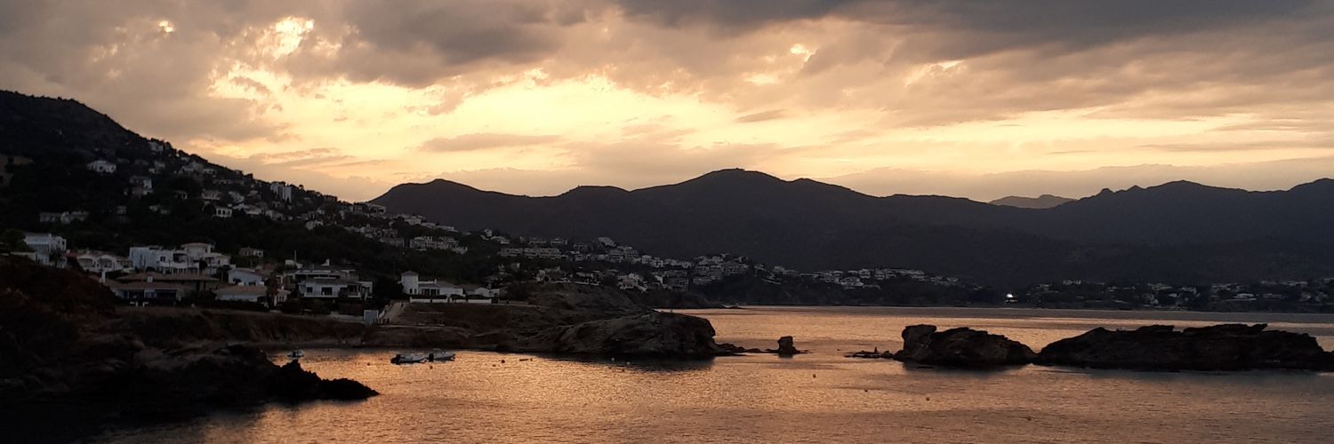 janfalguerasriu banner