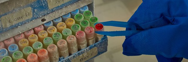 BRIseattle Profile Banner