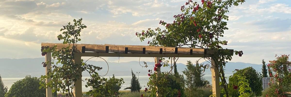 weefs99's profile banner image