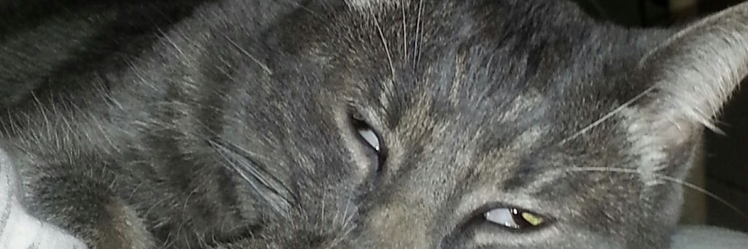 kiwi2512's profile banner image