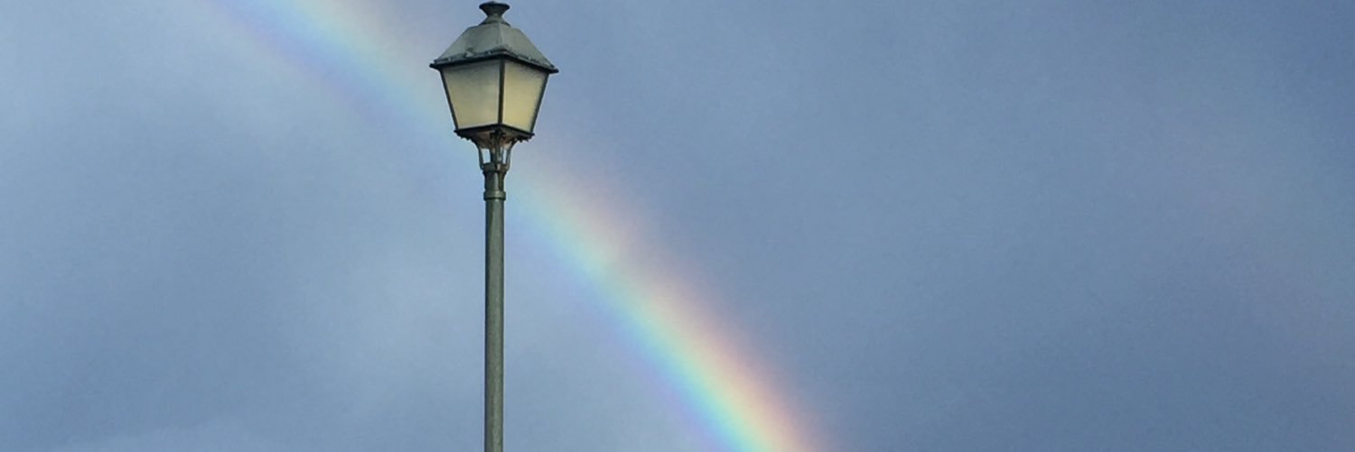 lisa_cook17's profile banner image