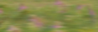 joshie 𐂂's banner