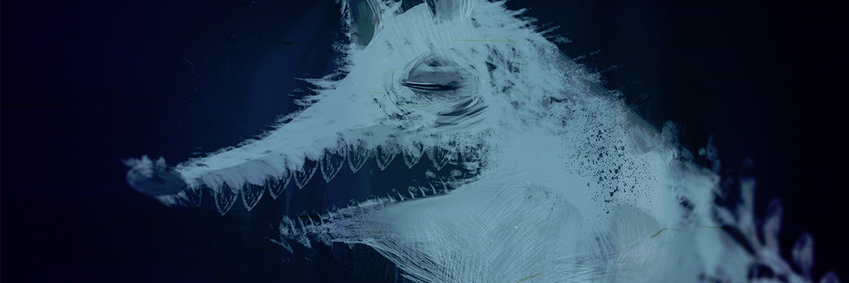 irdeea's profile banner image