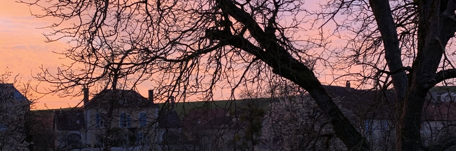 mathilde_aa27's profile banner image