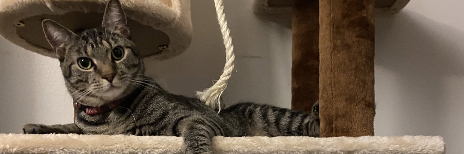 ginameester's profile banner image