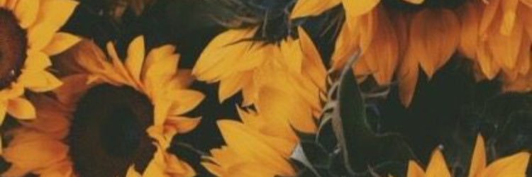 itsbunchie's profile banner image