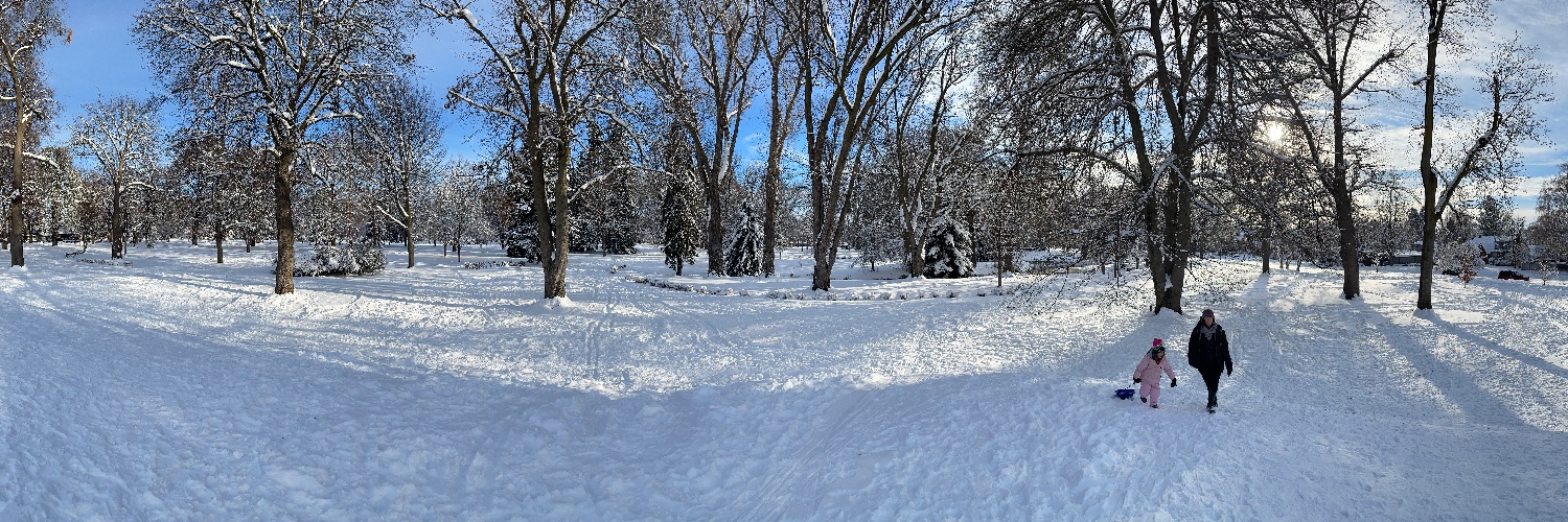 Casey Collins banner