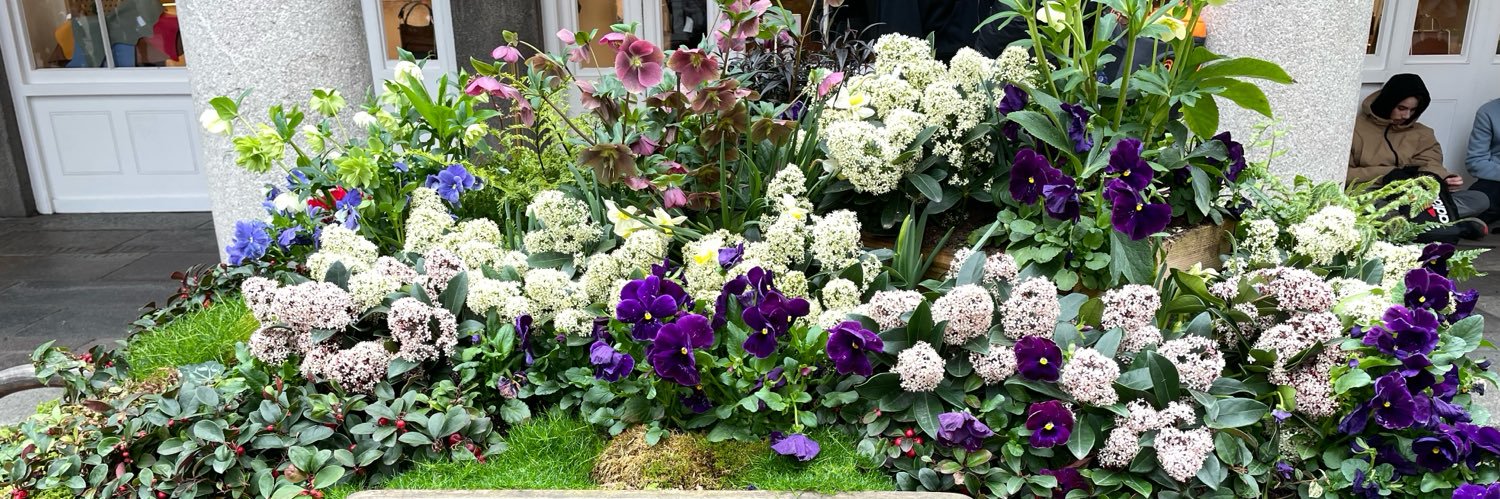 P. Mochrie (she/her) banner