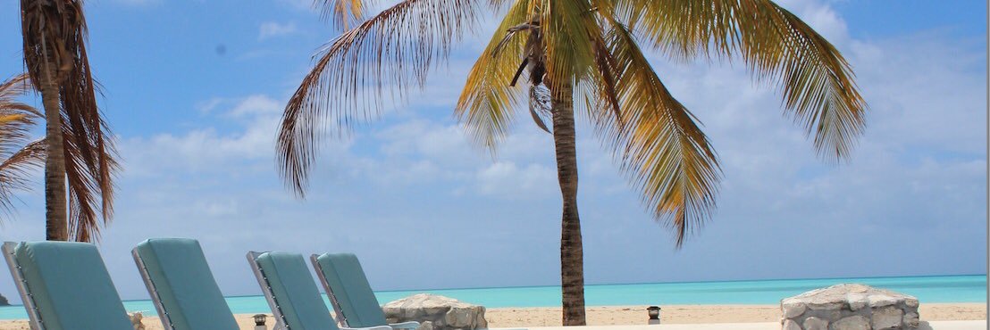Mandy Grogan banner