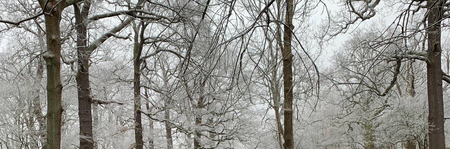 ManiacSpaniel's profile banner image