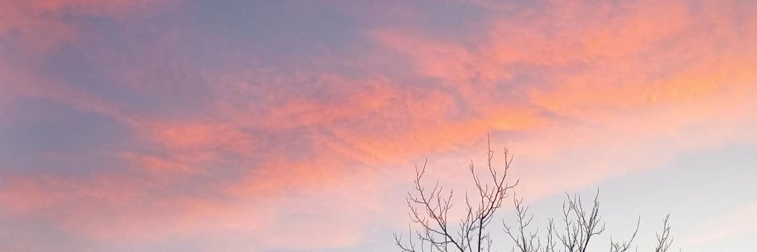 mel_zea21's profile banner image