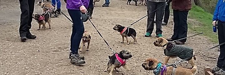 Griffin CBE🏴󠁧󠁢󠁷󠁬󠁳󠁿🐾 Fern🌈CBE & Ruby🌈 OBE banner