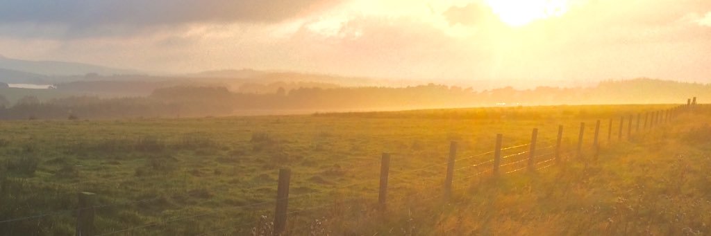 markdjamieson's profile banner image