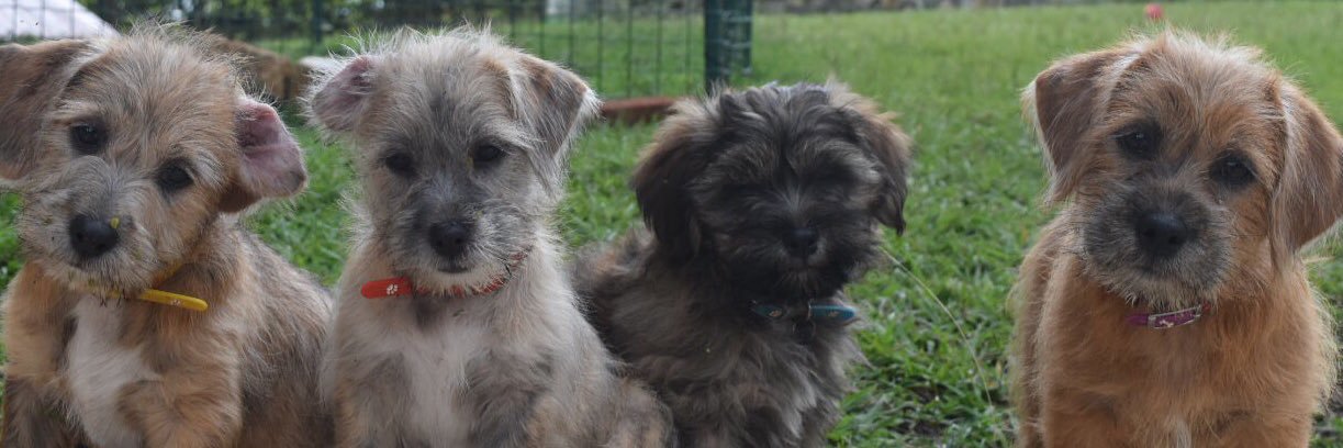 meli0927's profile banner image