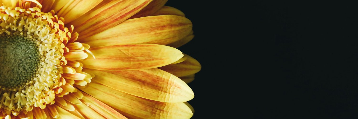 GiraCado's profile banner image
